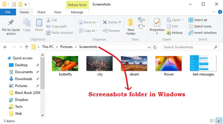 carpeta de capturas de pantalla en windows