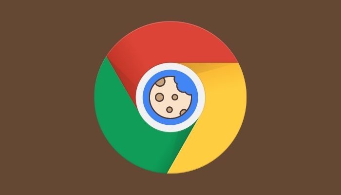 eliminar el caché de Chrome y las cookies para un sitio web específico